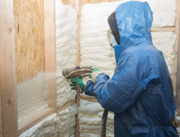 Best Spray Foam Insulation  in Severn, MD